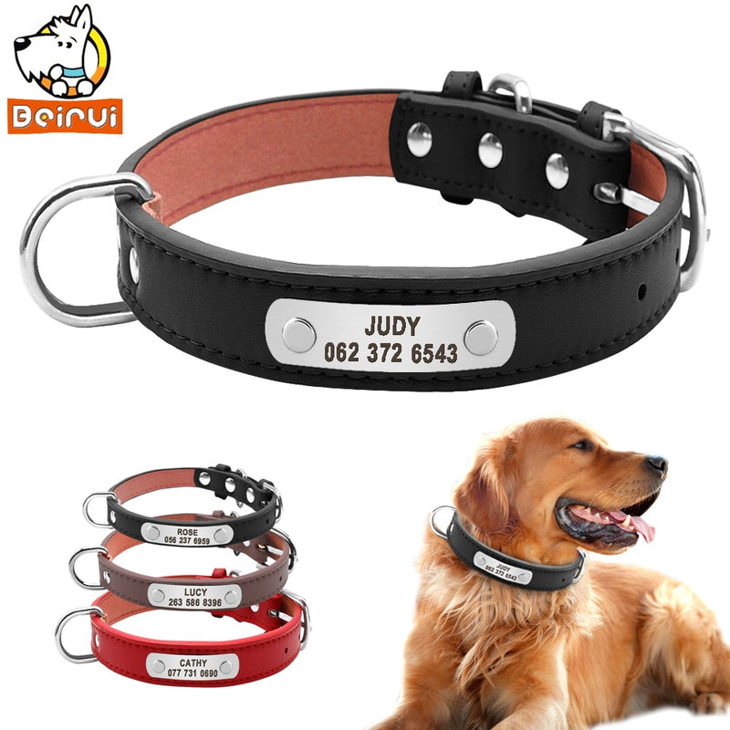 Leather Dog Collar Durable Padded