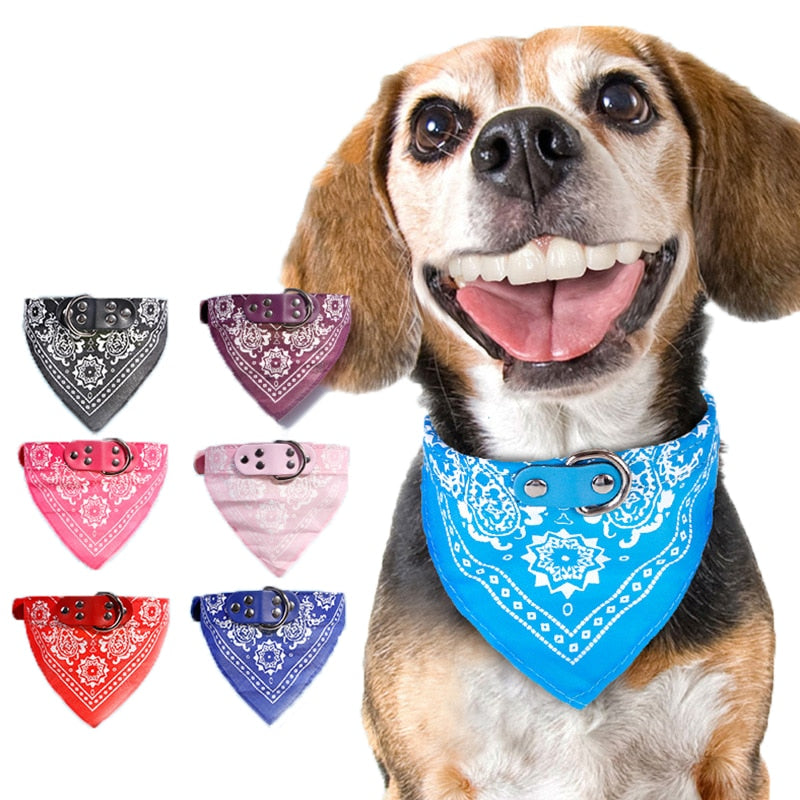 Adjustable Dog Leather Printed Soft Collar