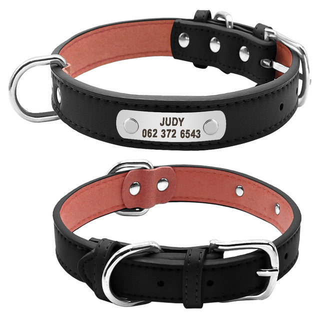 Leather Dog Collar Durable Padded