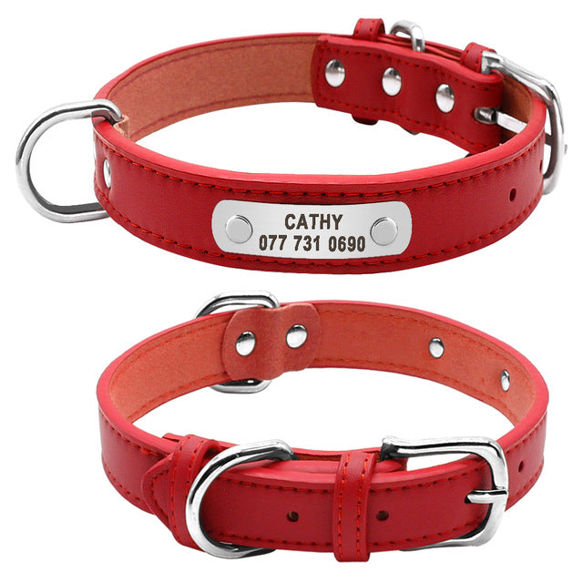 Leather Dog Collar Durable Padded