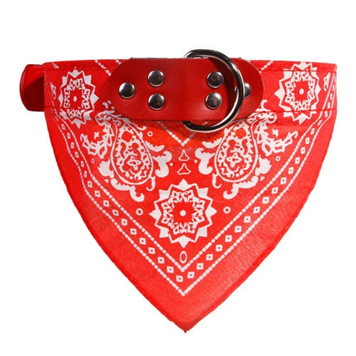 Adjustable Dog Leather Printed Soft Collar