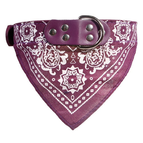 Adjustable Dog Leather Printed Soft Collar